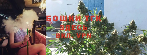 Альфа ПВП Пересвет