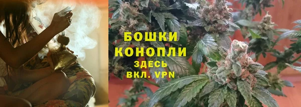 эйфоретик Осташков