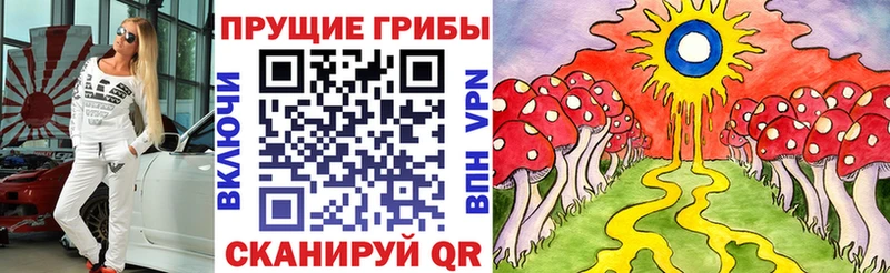 Галлюциногенные грибы прущие грибы  купить  сайты  Россошь 