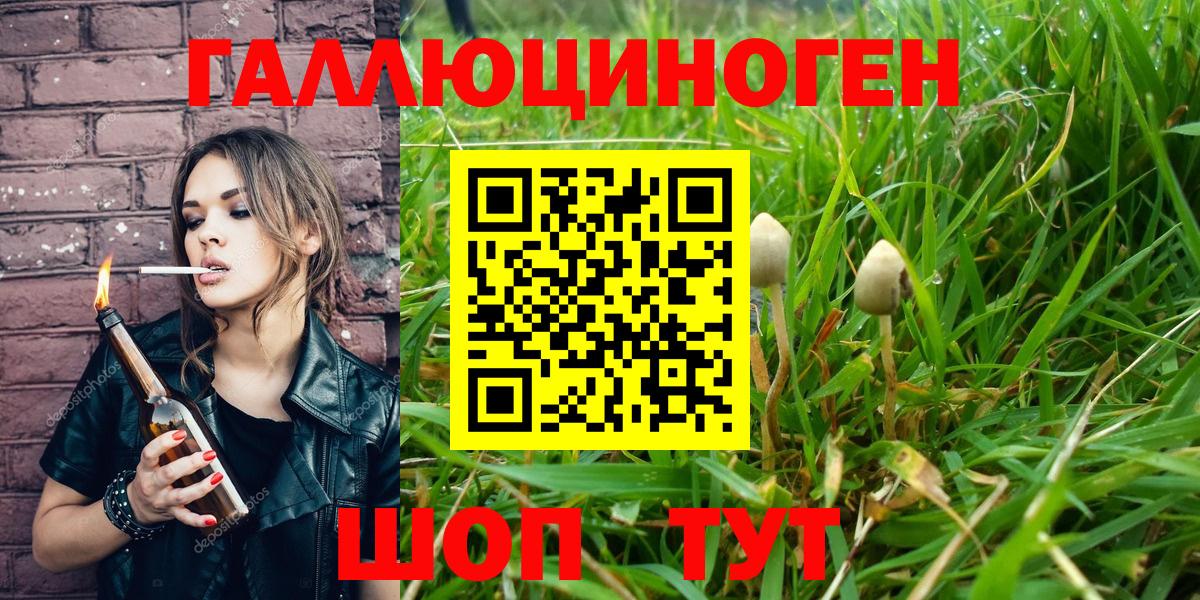 Галлюциногенные грибы Cubensis  Вход с VPN  Россошь 